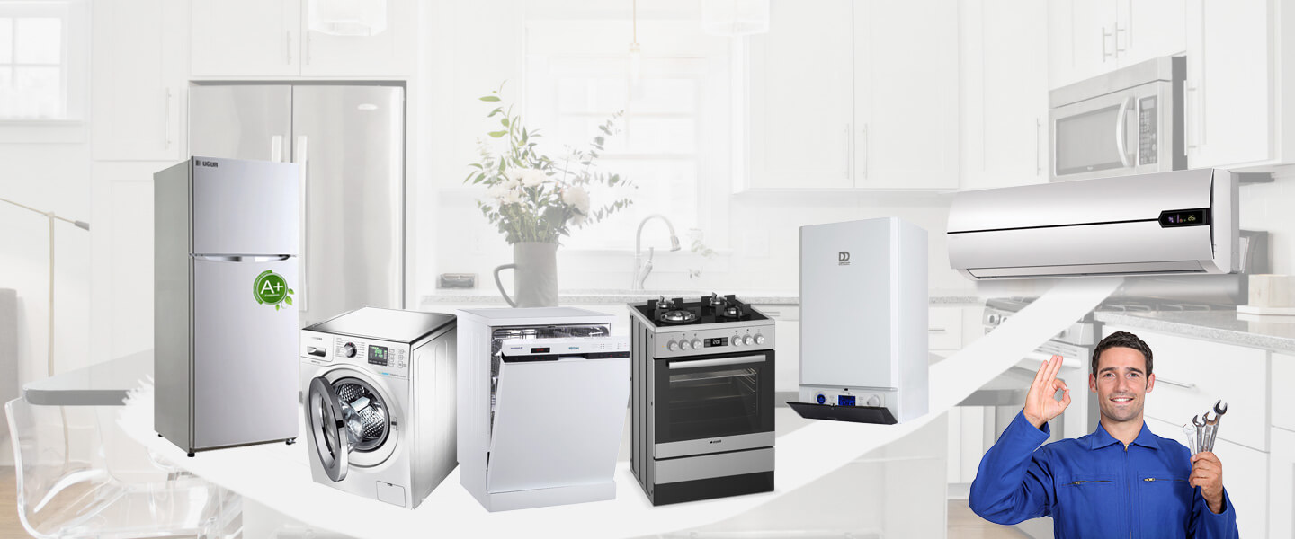 Gülnar Regal Servisi